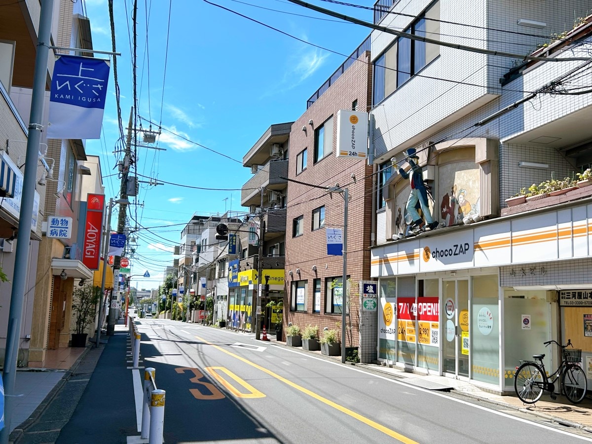 上井草駅,西武新宿線,東京都,駅周辺