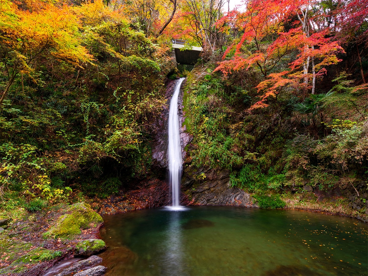 華厳の滝