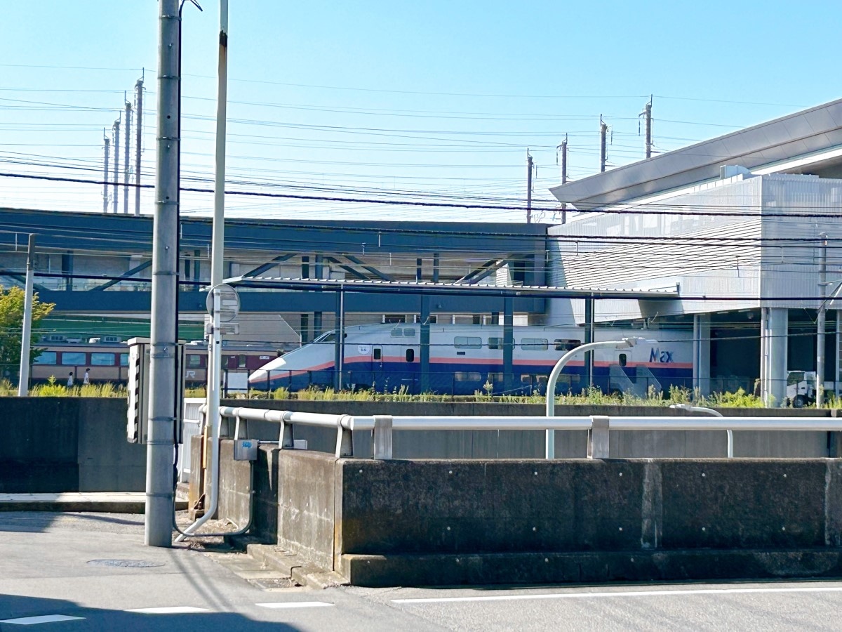 鉄道博物館駅,大宮,ニューシャトル,てっぱく,埼玉新都市交通伊奈線,駅周辺