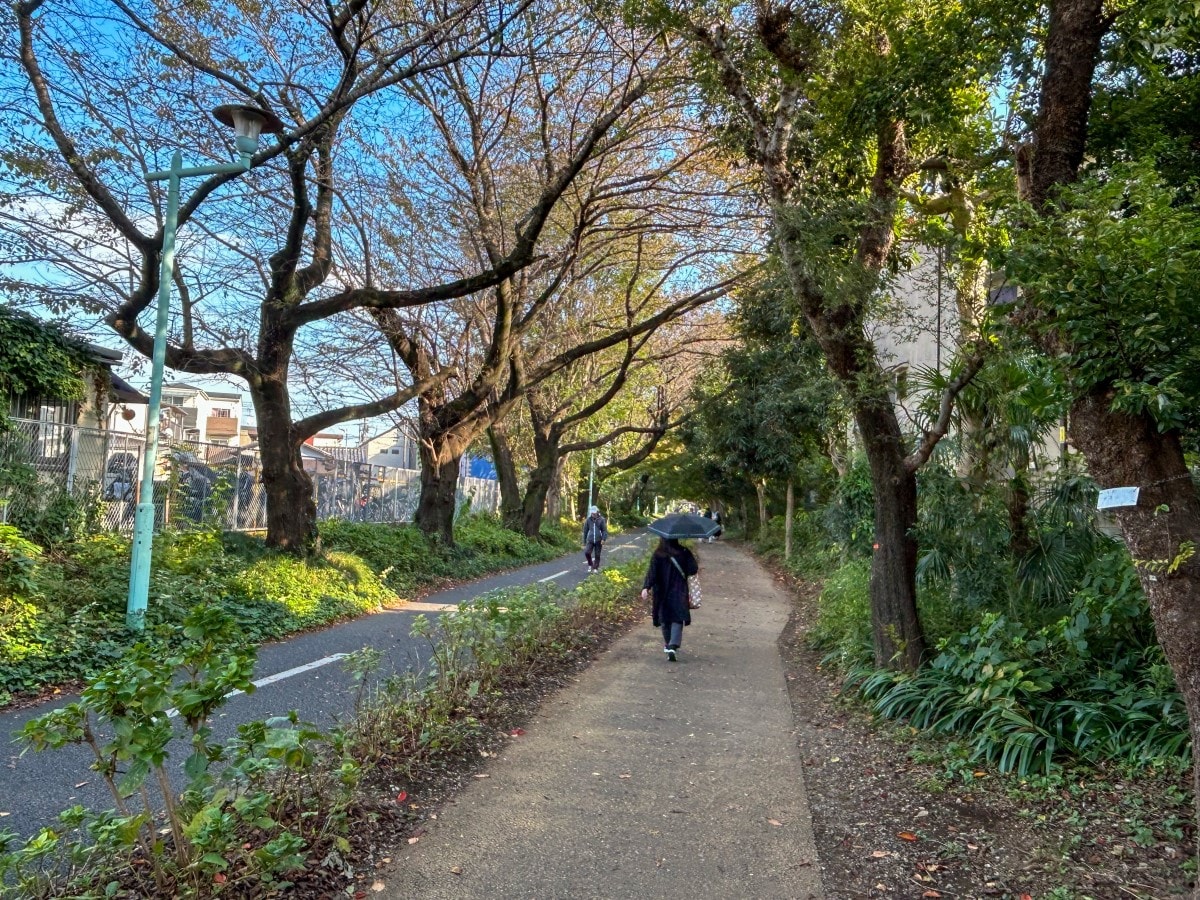 小平駅「グリーンロード」