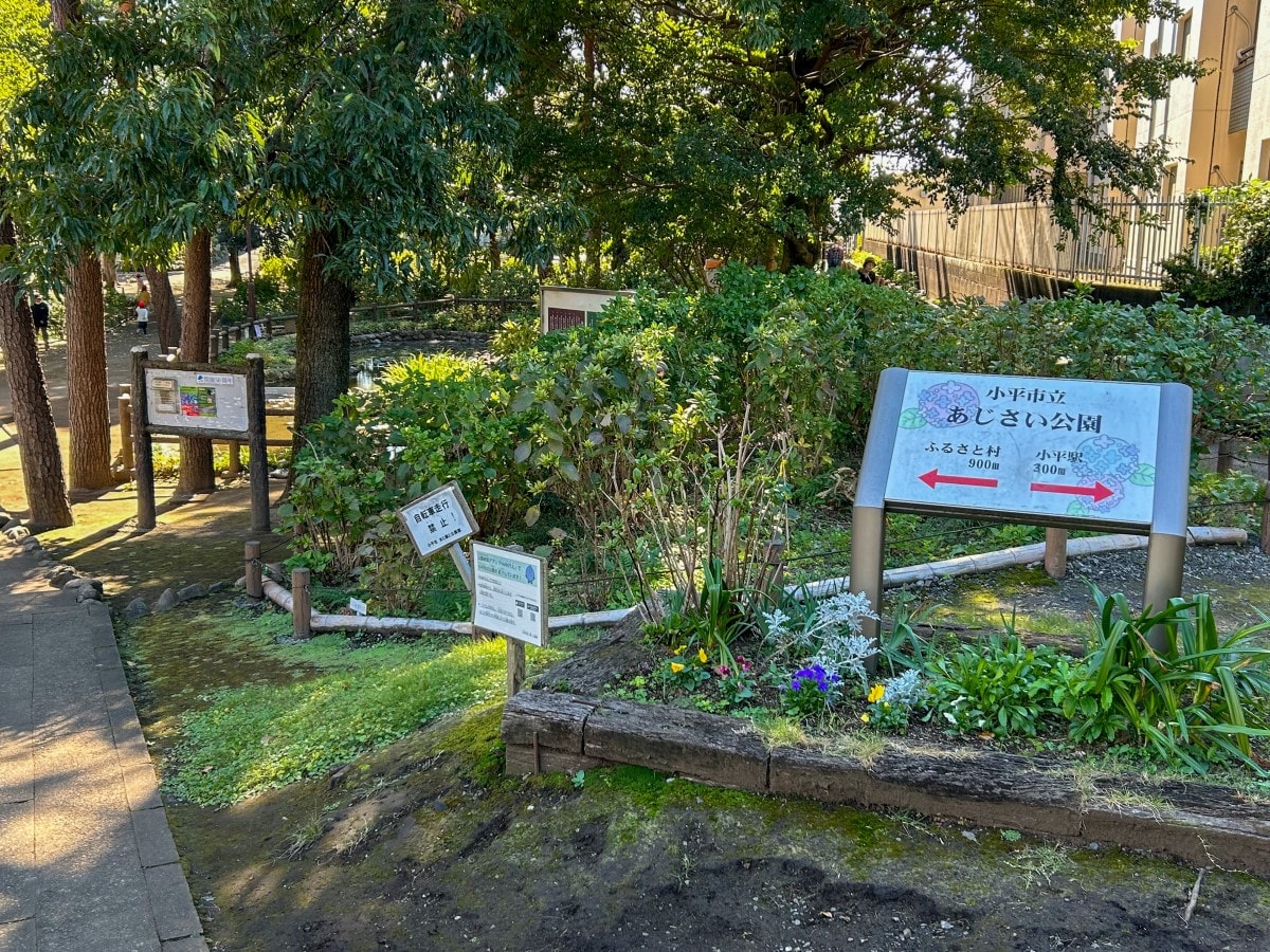 小平市立あじさい公園
