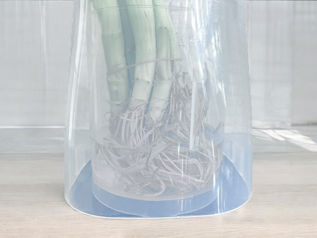 「野菜イキイキスタンド」