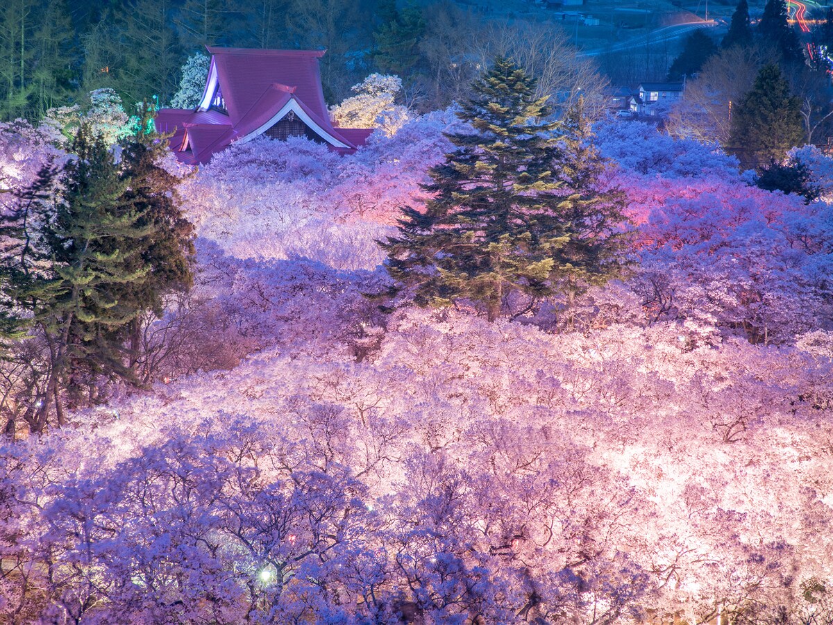 ナガノで人気のある「桜の斑点」のランキング！タカト城遺跡公園の先にある場所はどれですか？ – すべてニュースについて
