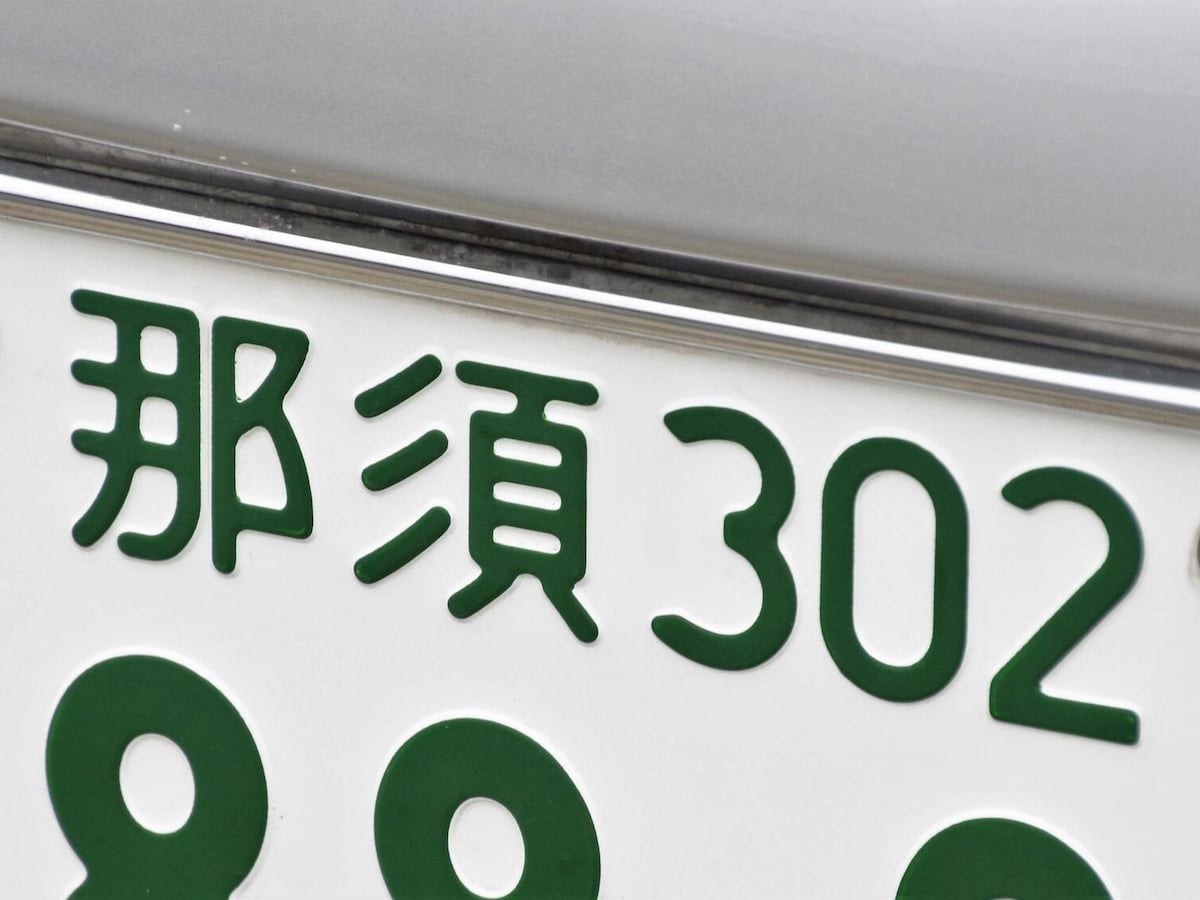 681d671ea1aa8.jpg