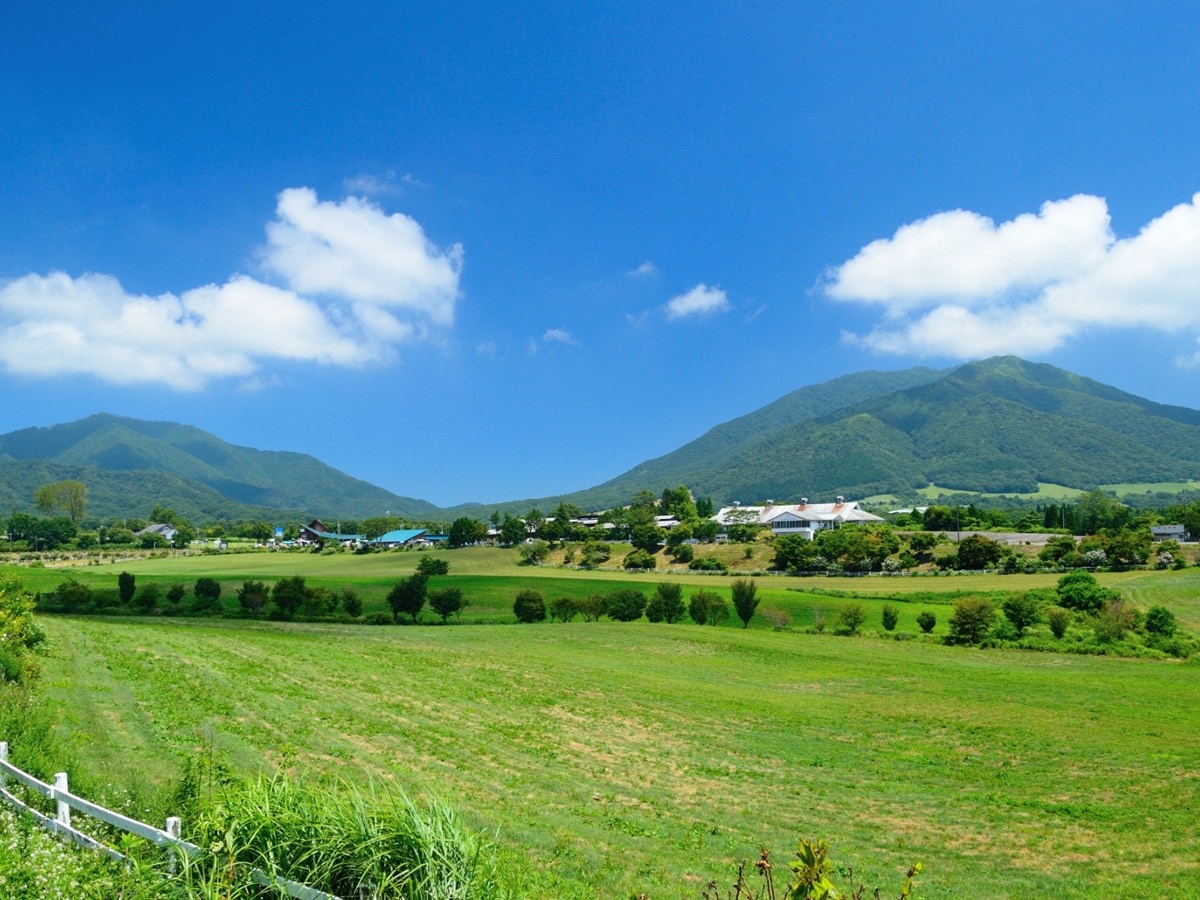 夏に行きたい「岡山県の絶景ドライブスポット」ランキング