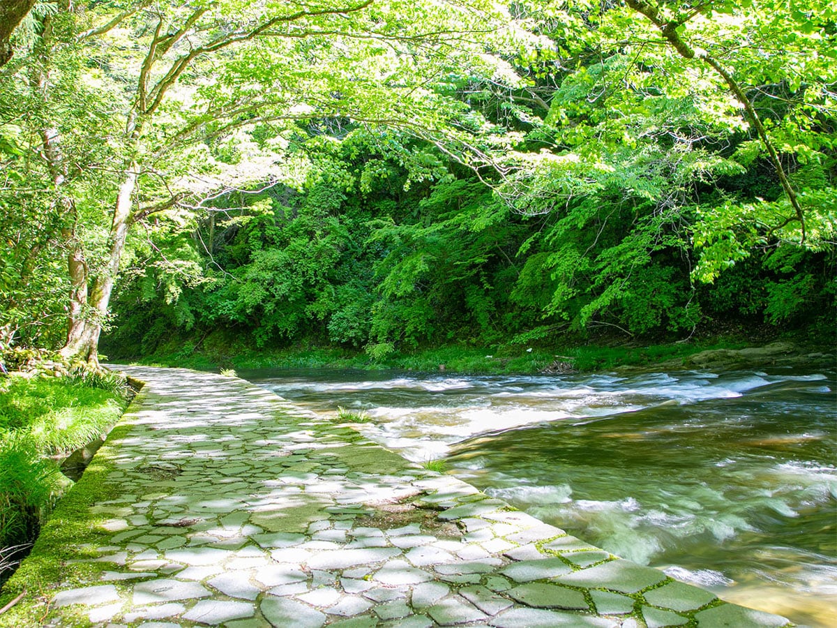 「千葉県の森林浴スポット」ランキング