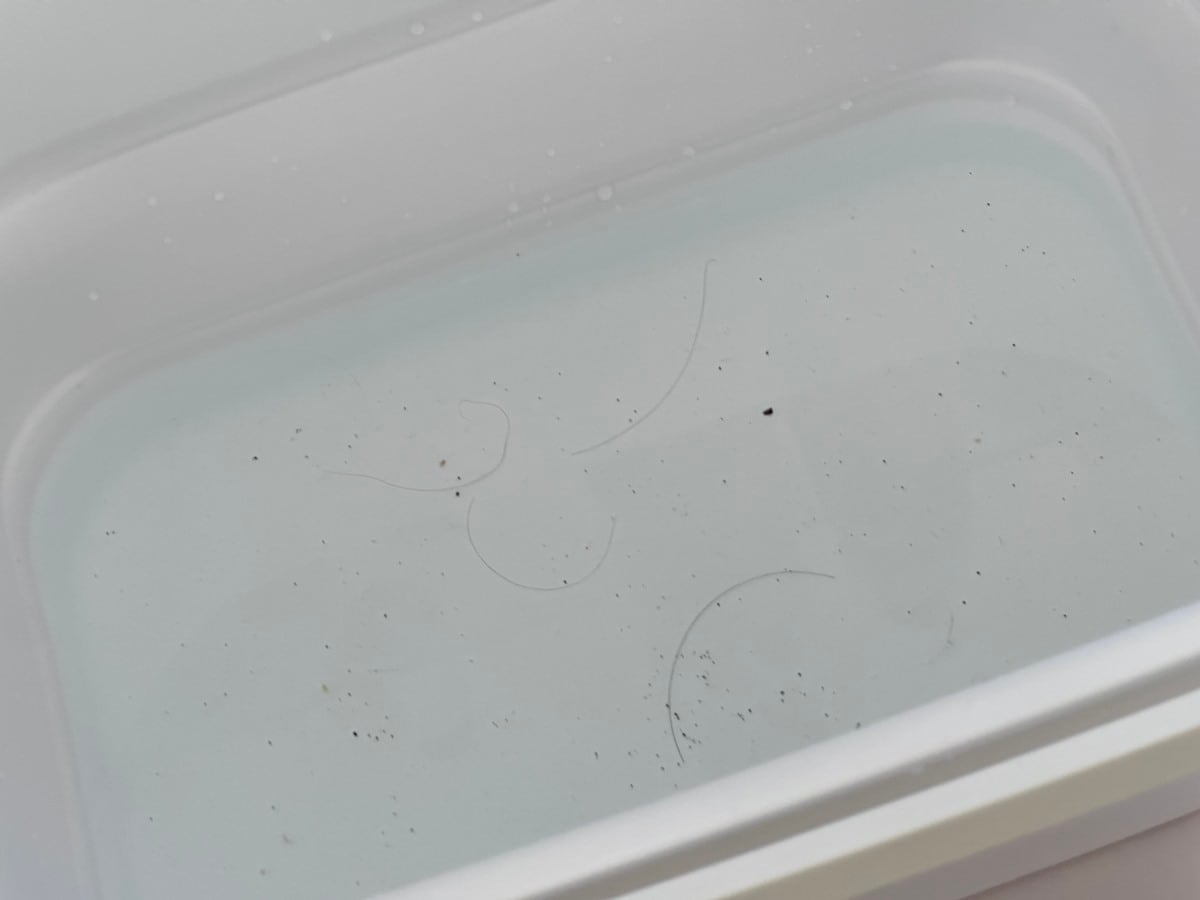 粘着ゲルクリーナー