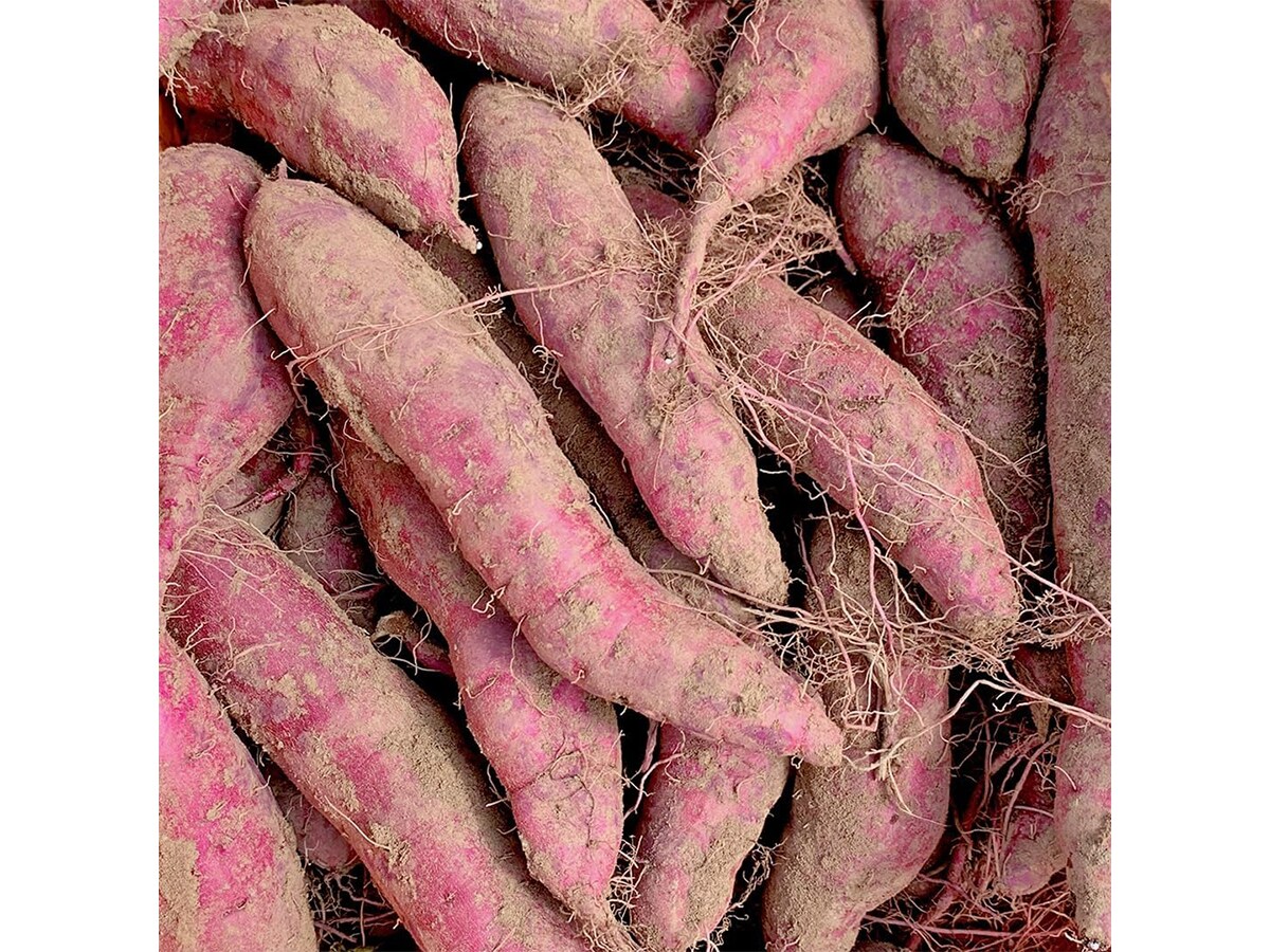 茨城県つくばみらい市「【 訳あり 】 さつまいも ！ 紅はるか 5kg」（画像出典：Amazon）