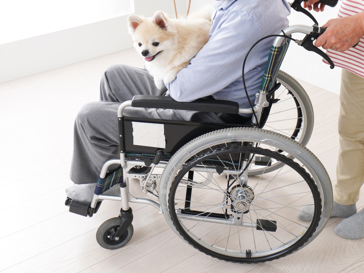 一人暮らしと飼い犬