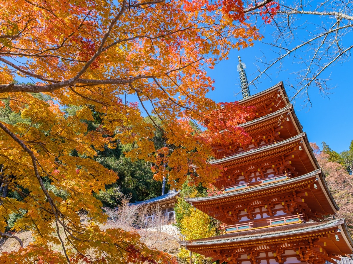 好き＆行ってみたい「奈良県の紅葉スポット」ランキング