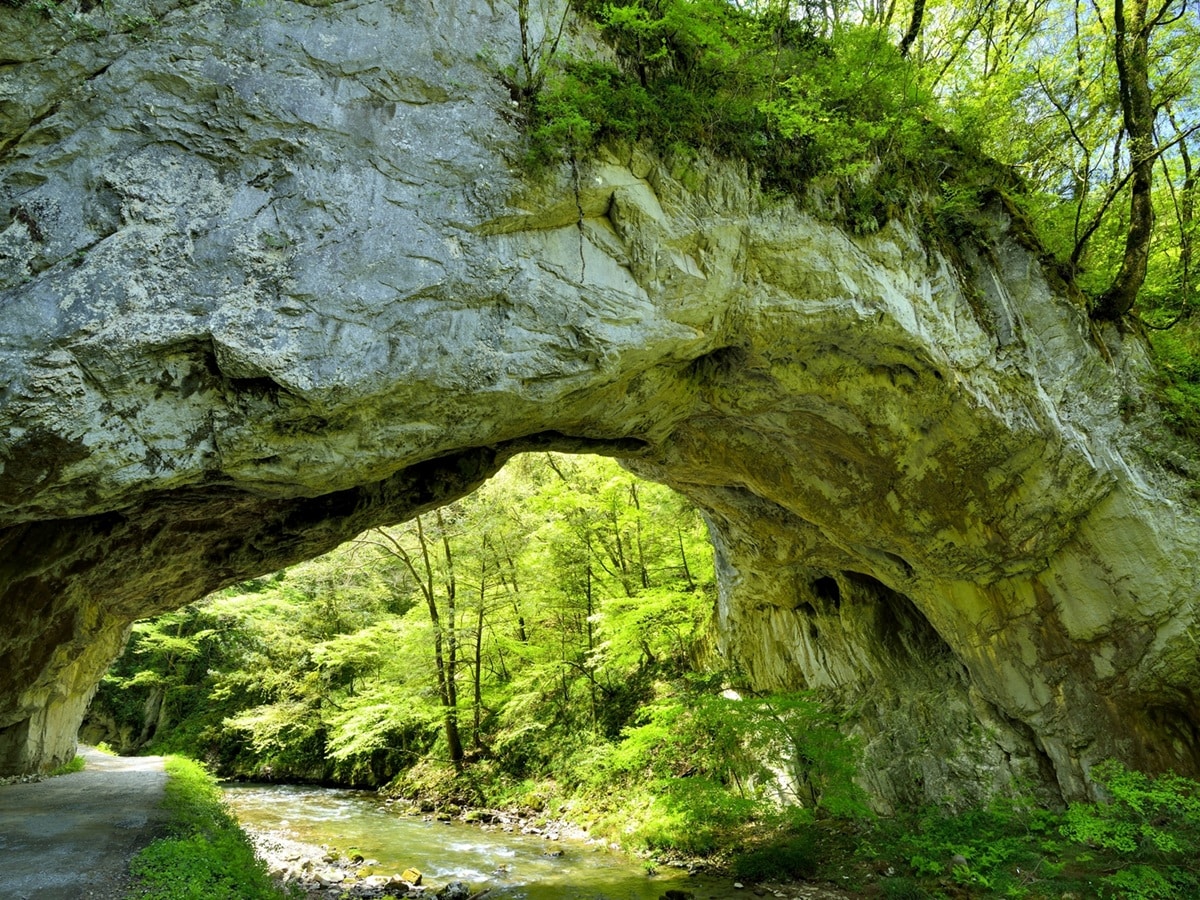 好き＆行ってみたい「広島県の紅葉スポット」ランキング