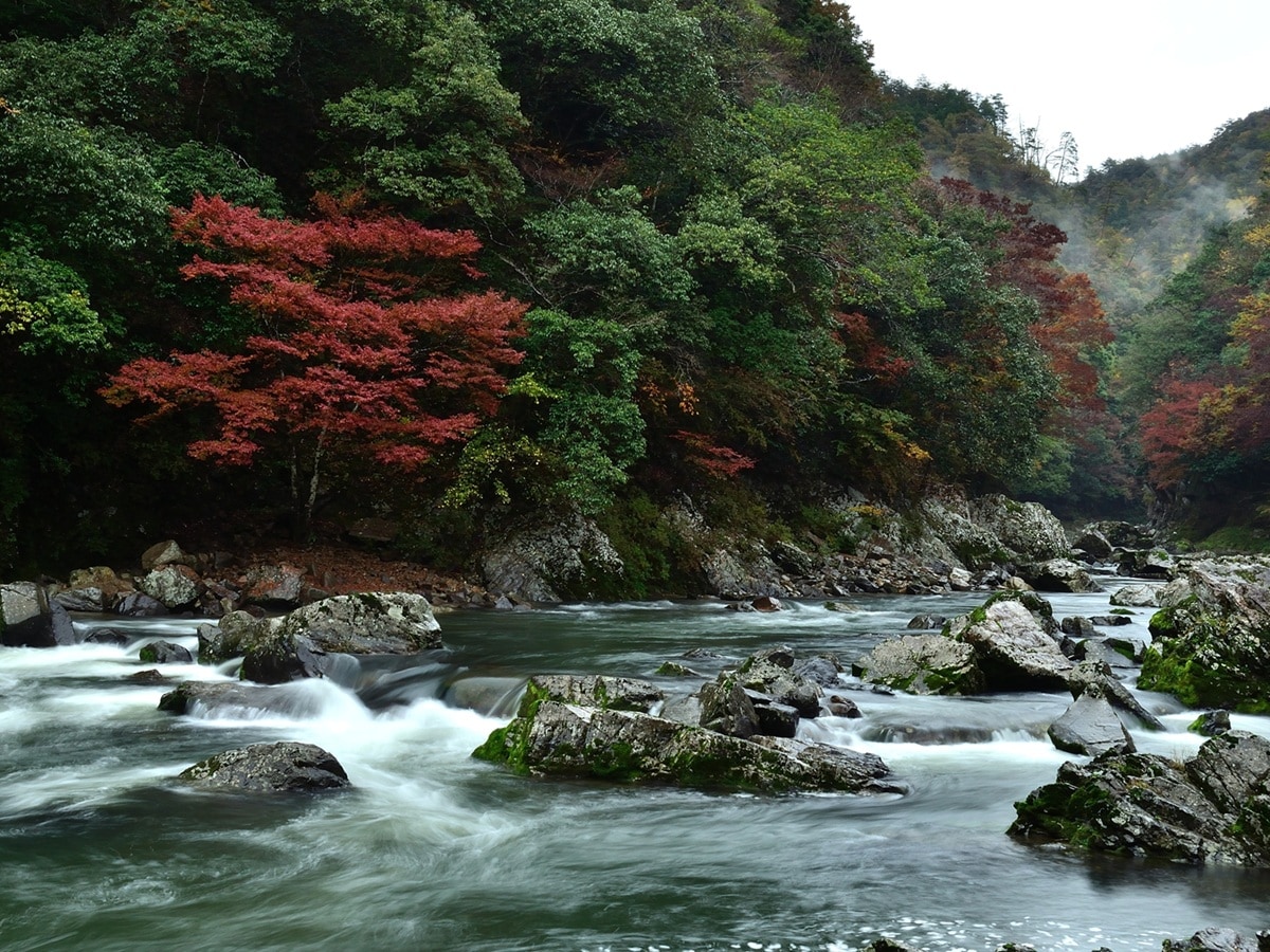 好き＆行ってみたい「山口県の紅葉スポット」ランキング