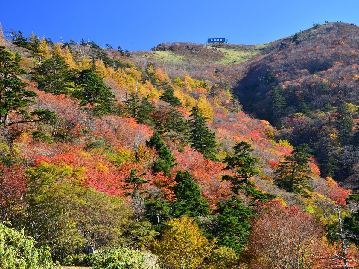 好き＆行ってみたい「徳島県の紅葉スポット」ランキング