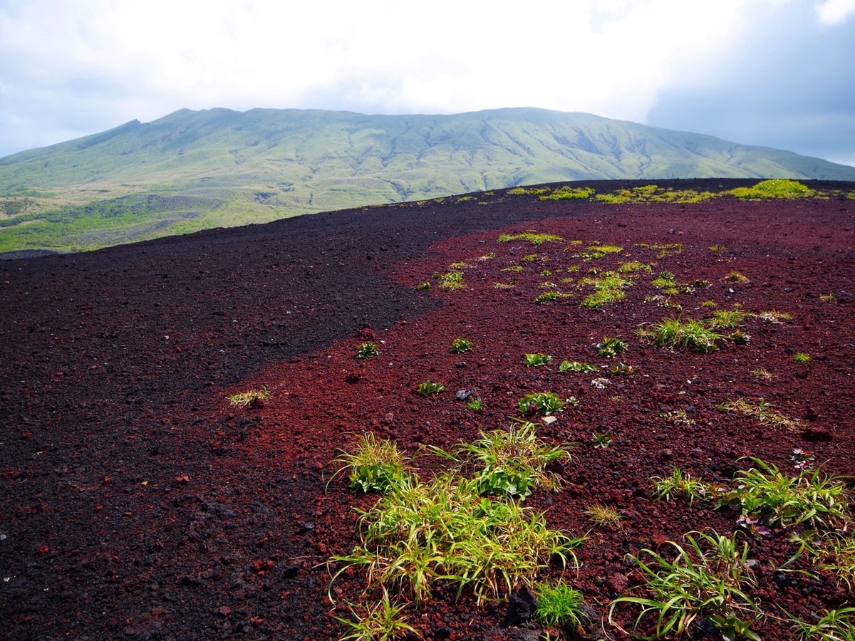 一生に一度は行きたいと思う「東京都・離島エリア（伊豆諸島・小笠原諸島）の絶景スポット」ランキング