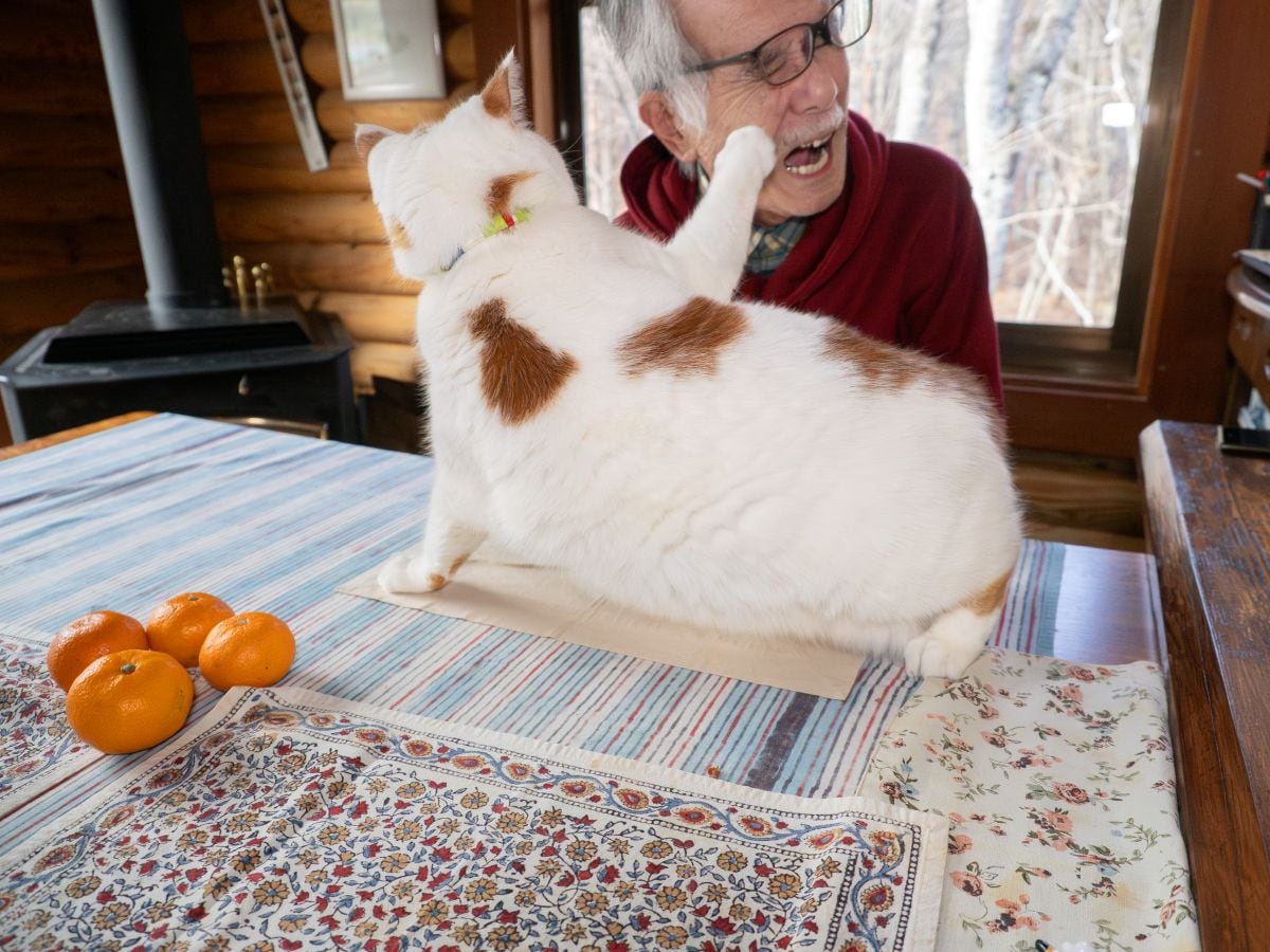 写真集『メイ先輩』より（写真・MARCO）