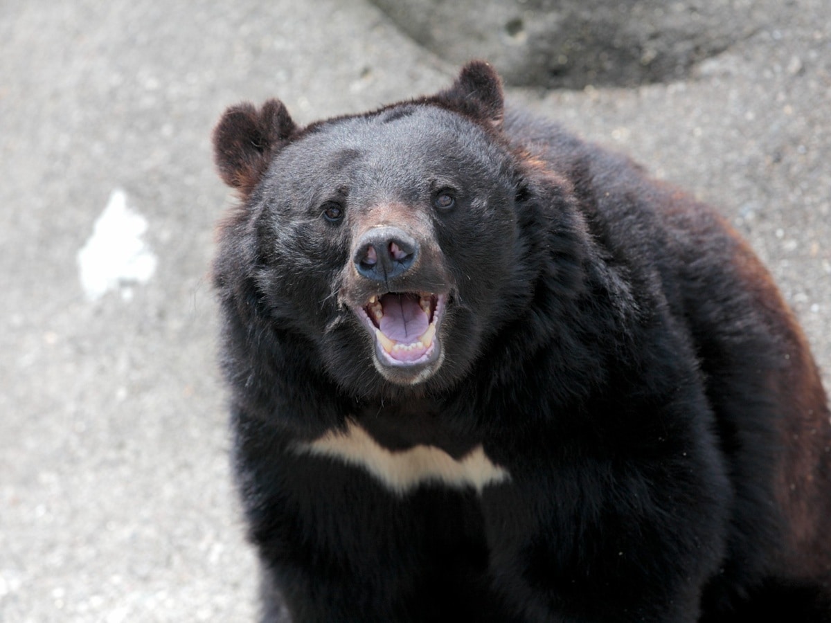 画像出典：PIXTA