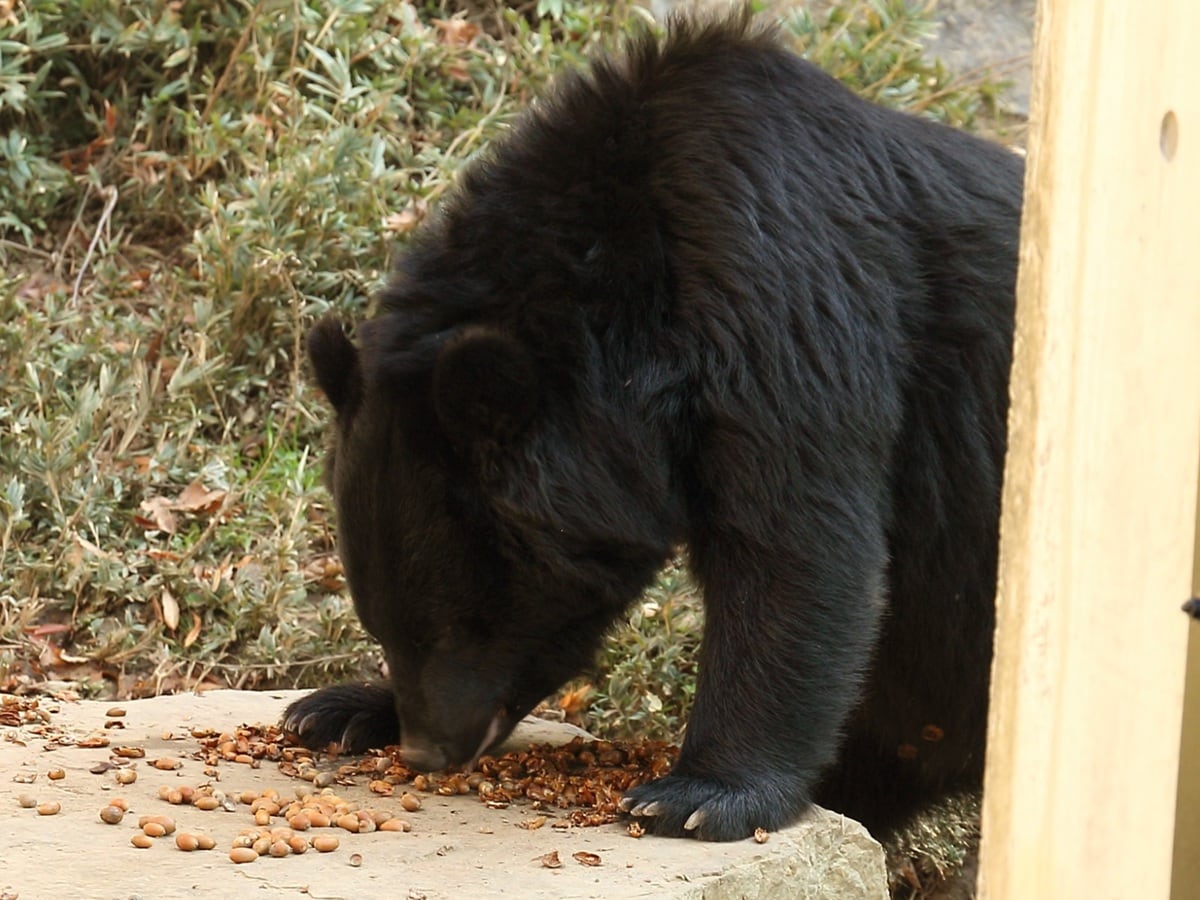 画像出典：PIXTA