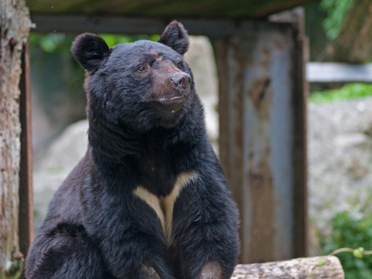 画像出典：PIXTA