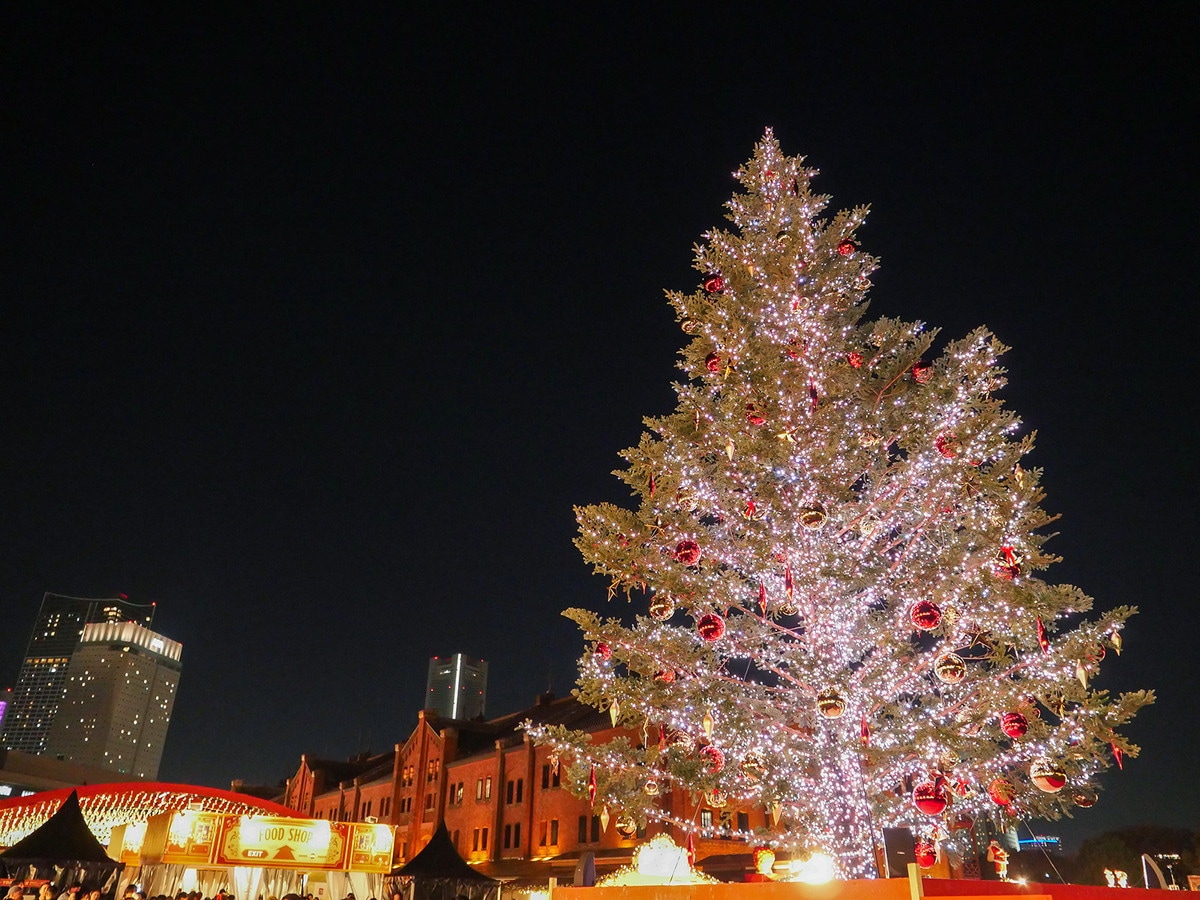 「Christmas Market in 横浜赤レンガ倉庫」に本物のモミの木を使ったクリスマスツリーが登場（筆者撮影）