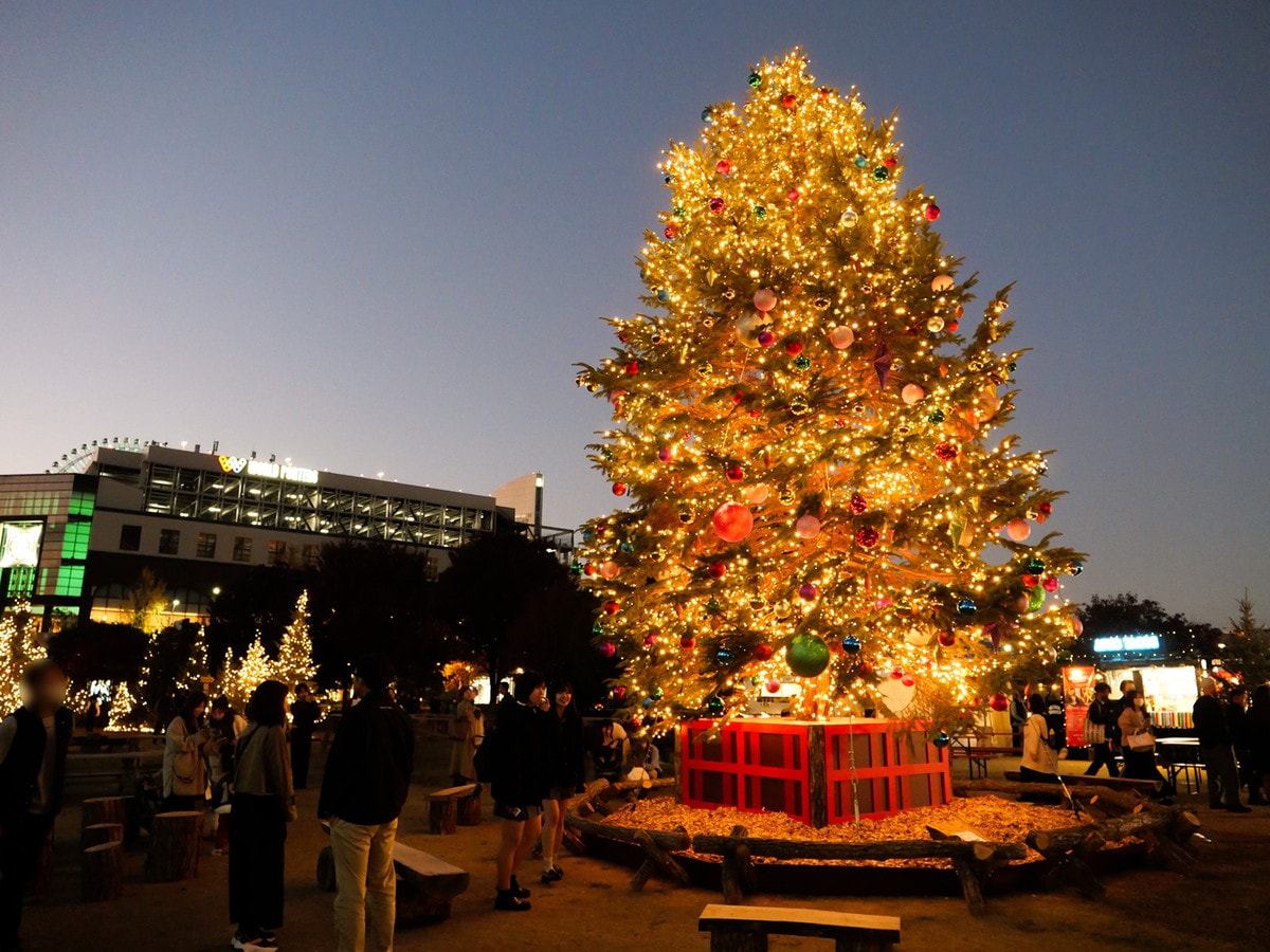 「森」をテーマにした装飾やフォトスポットが登場（筆者撮影）