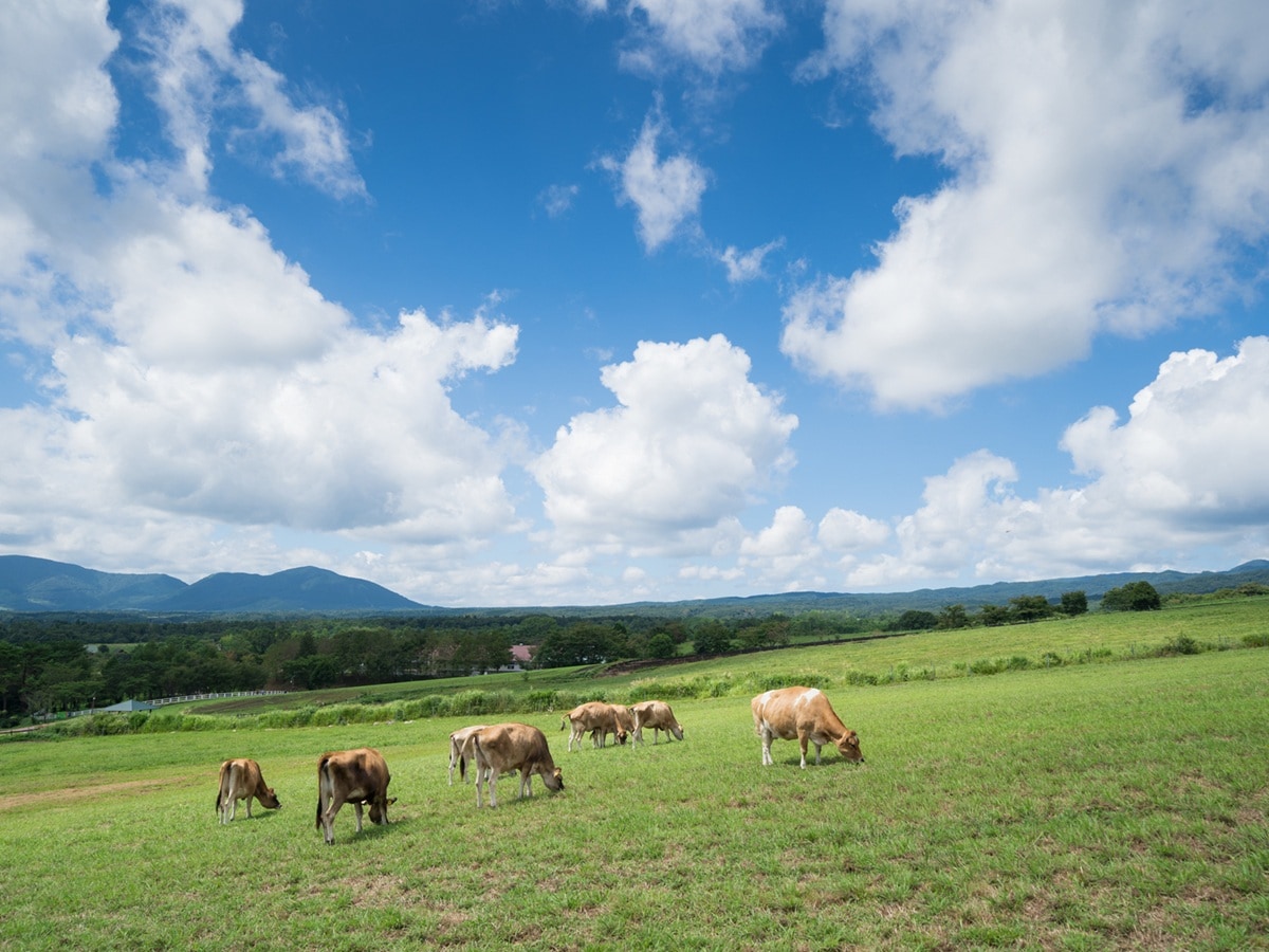 特産品が楽しめると思う「岡山県の道の駅」ランキング