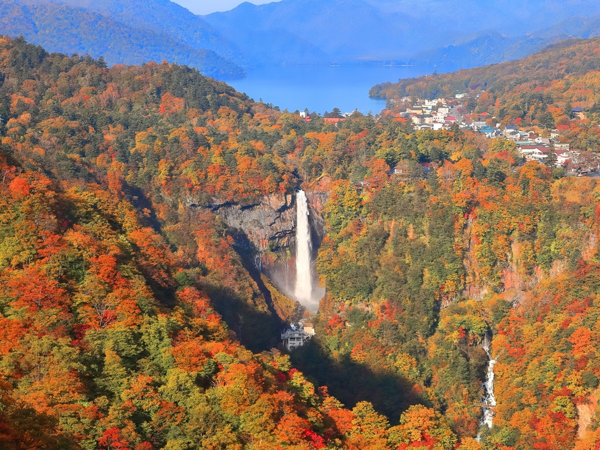 好き＆行ってみたい「栃木県のパワースポット」ランキング