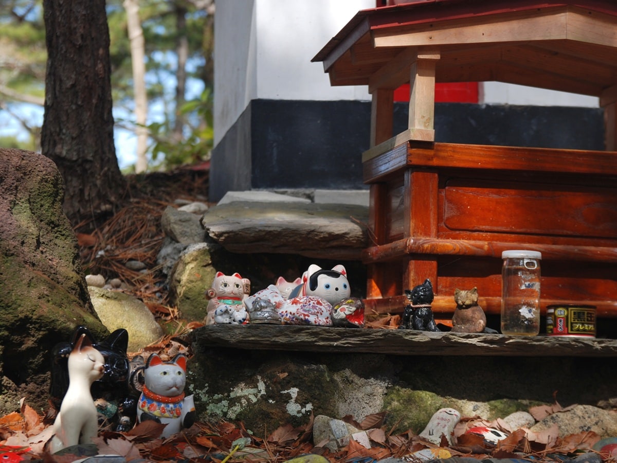 好き＆行ってみたい「宮城県のパワースポット」ランキング