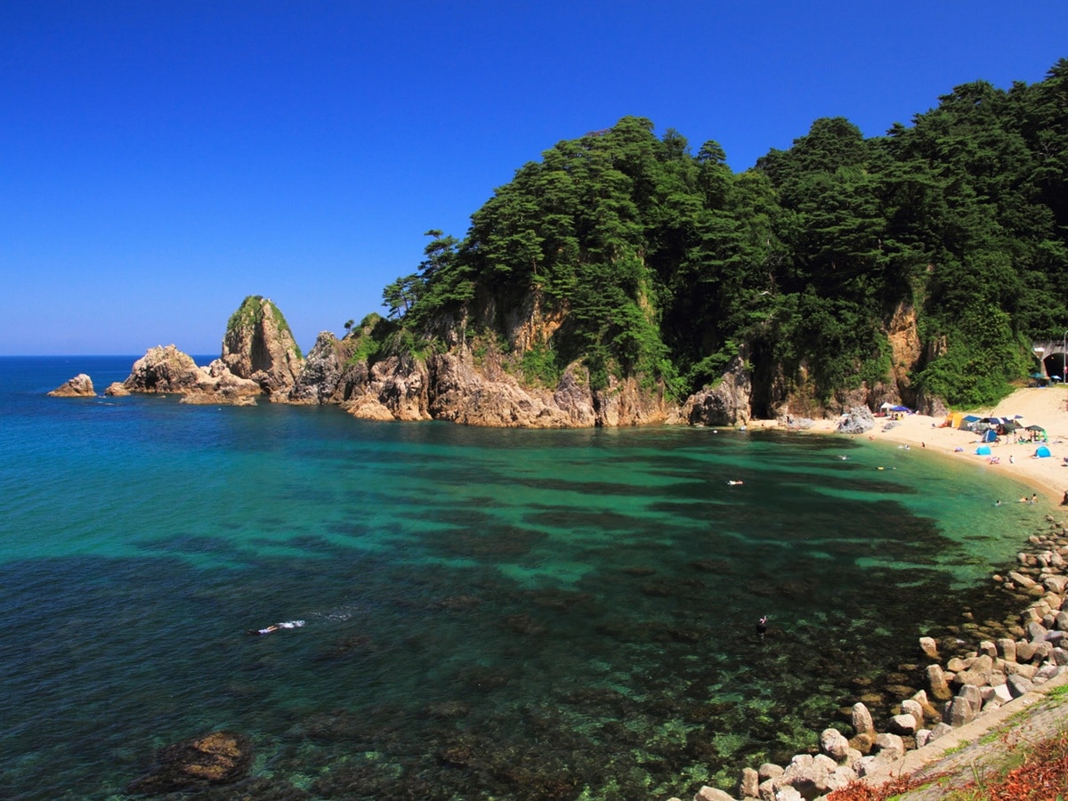 クリスマスに行きたい「新潟県の絶景ドライブスポット」ランキング