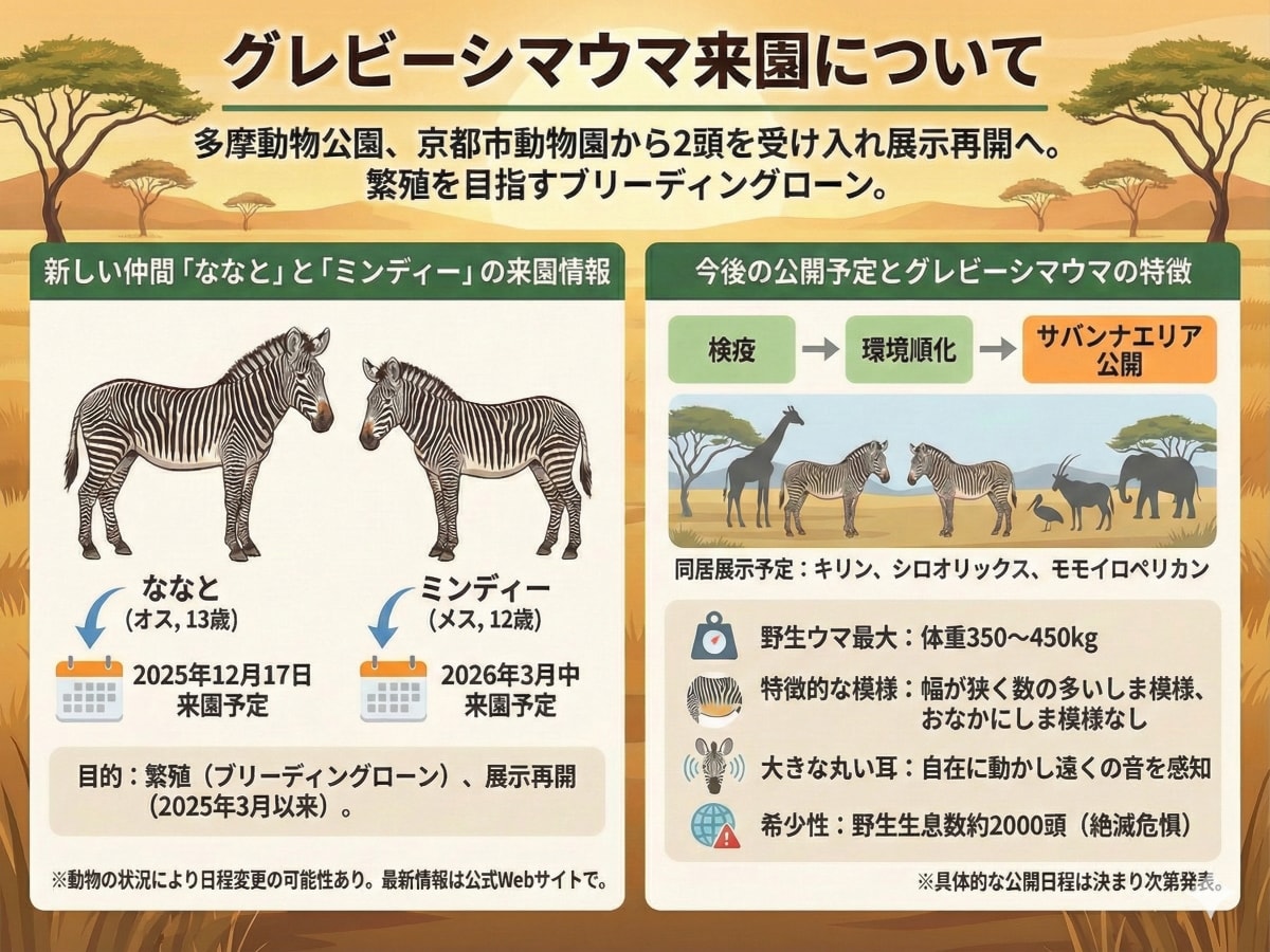 グレビーシマウマ来園についてまとめ（AIにて画像作成）