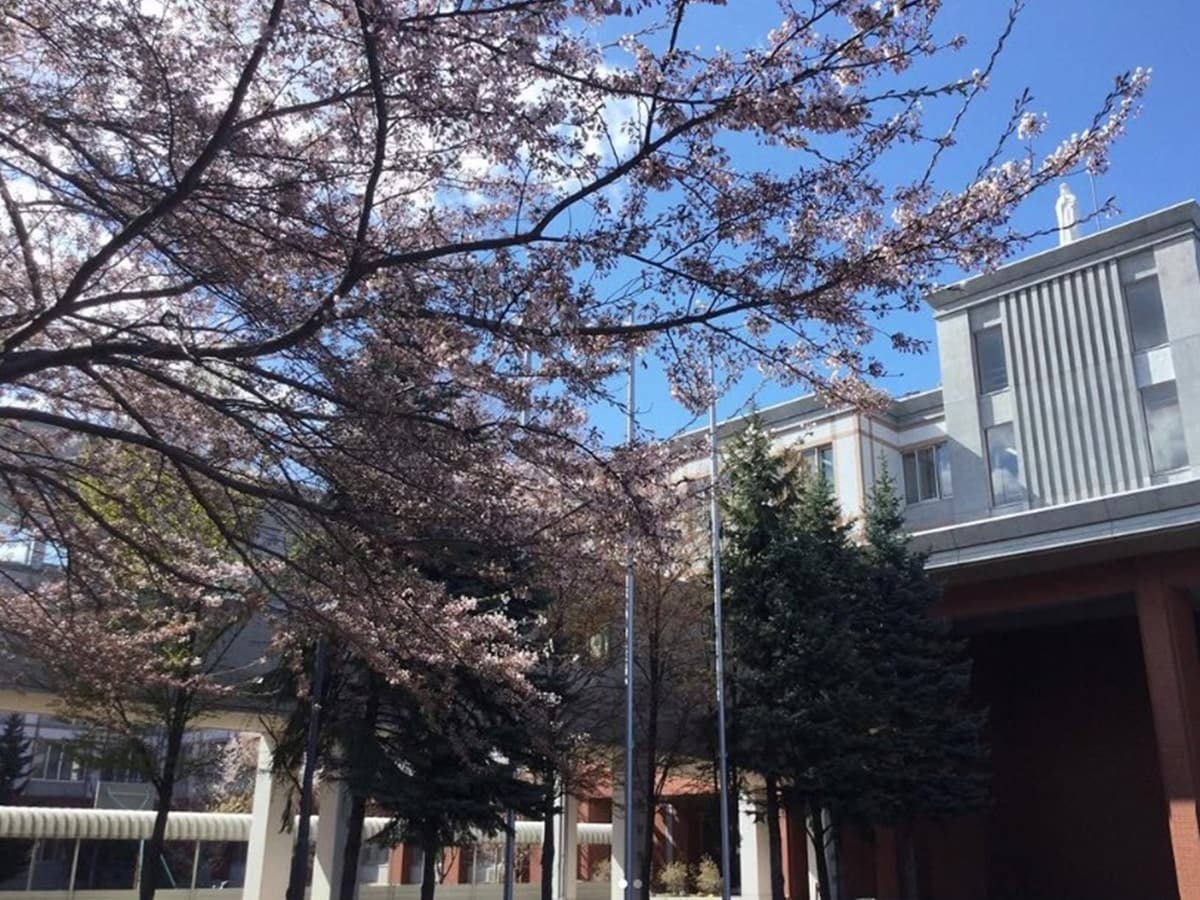 優秀な学生が多いと思う「北海道の私立進学校」ランキング