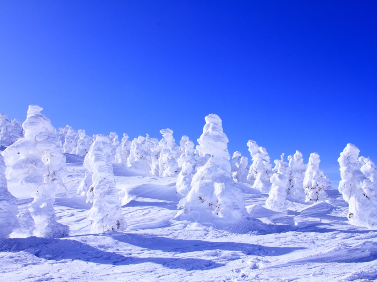 【山形】外国人に人気の観光地ランキング（画像出典：PIXTA）