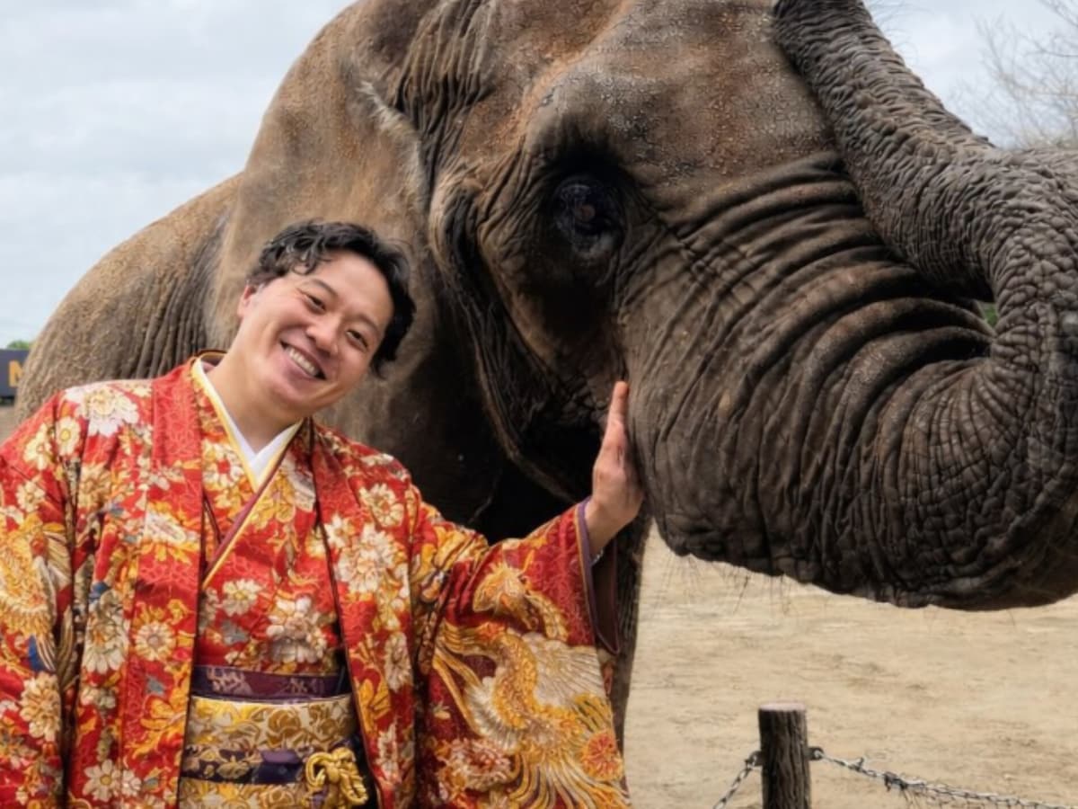 画像が削除されました