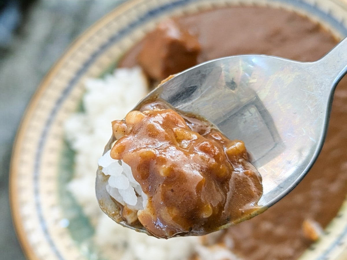 「焙煎スパイスのごろり牛肉カレー」