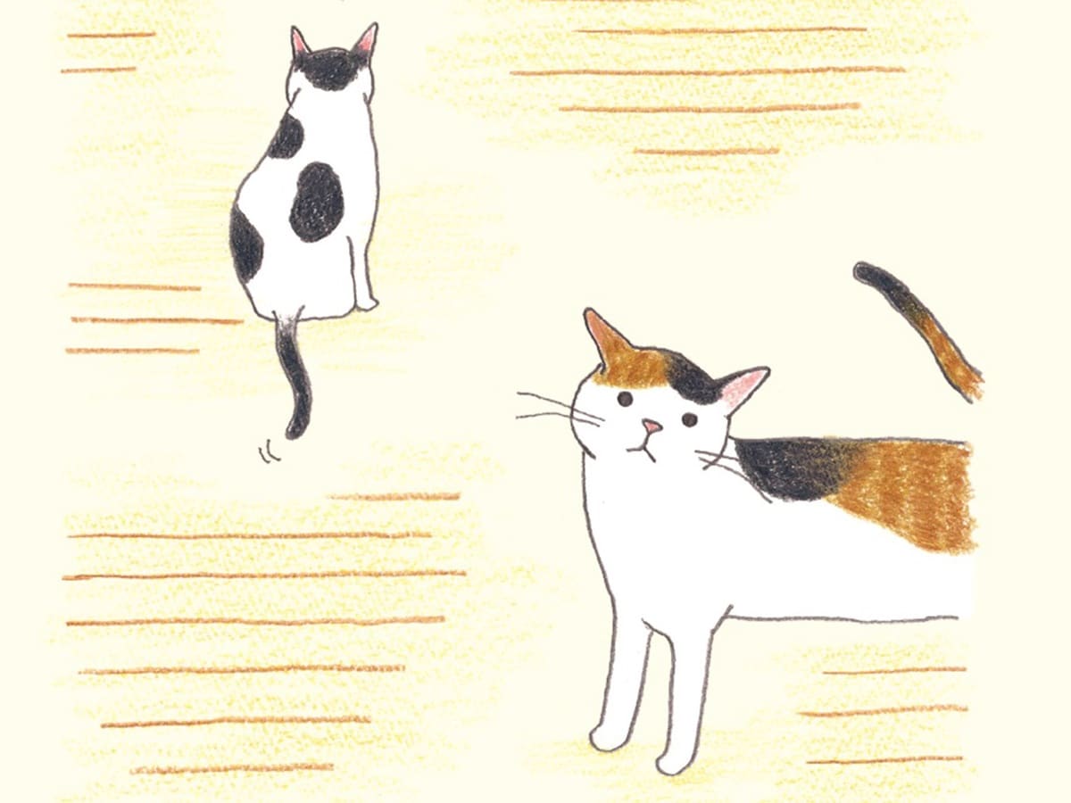 画像出典：『猫のいる家に帰りたい』（仁尾智・著 小泉さよ・イラスト／辰巳出版）