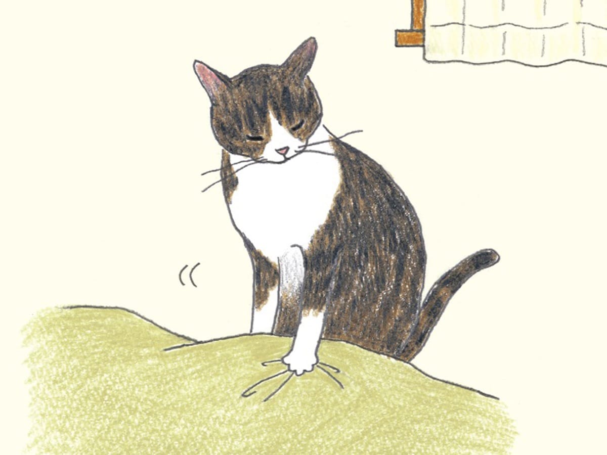 画像出典：『猫のいる家に帰りたい』（仁尾智・著、小泉さよ・イラスト／辰巳出版）