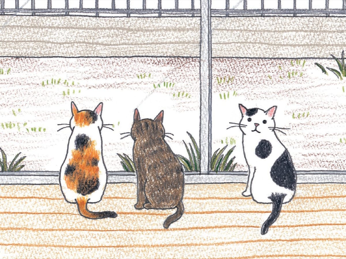 画像出典：『ねこの描き方れんしゅう帖』（小泉さよ・著／日東書院本社）