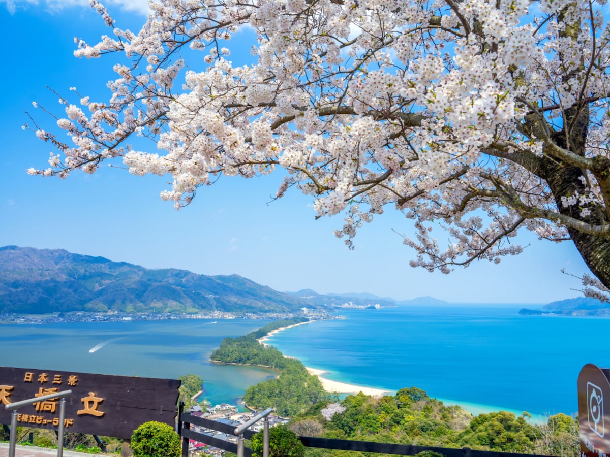 【近畿地方居住者に聞いた】春にドライブで行きたい場所ランキング