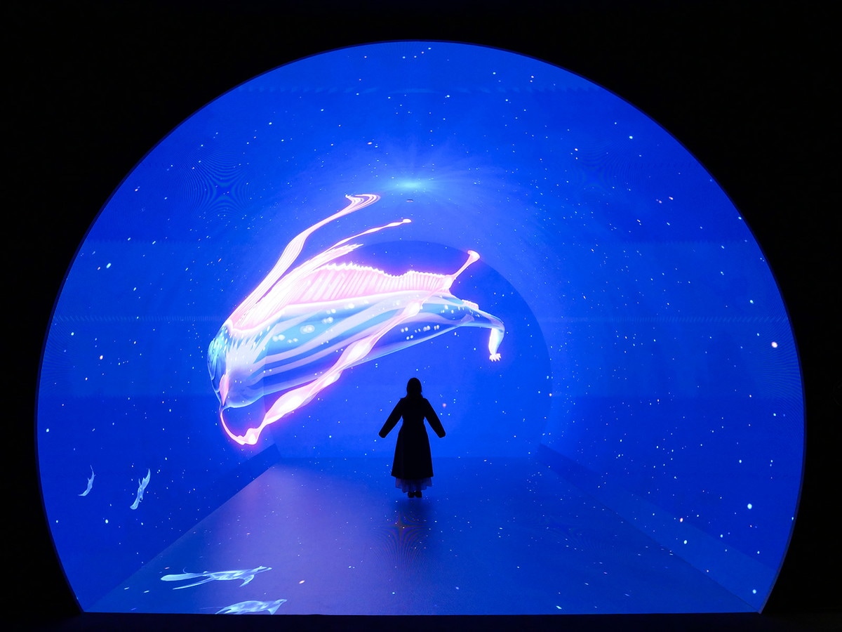 映像内に登場する約70種類の生き物のイラストはクリーチャーデザイナーの山村れぇさんが手がけた