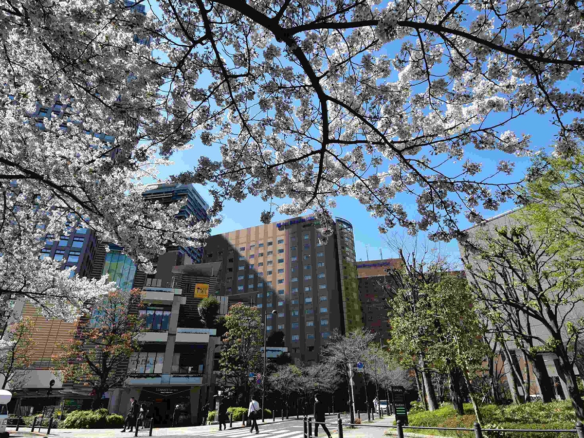 ホテルメトロポリタン エドモント