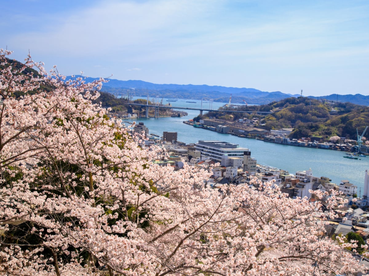 「唯一無二の絶景」広島県の“行ってみたい&好きな桜の名所”TOP6! 1位の名所に絶賛の声【2026年調査】 - All About ニュース