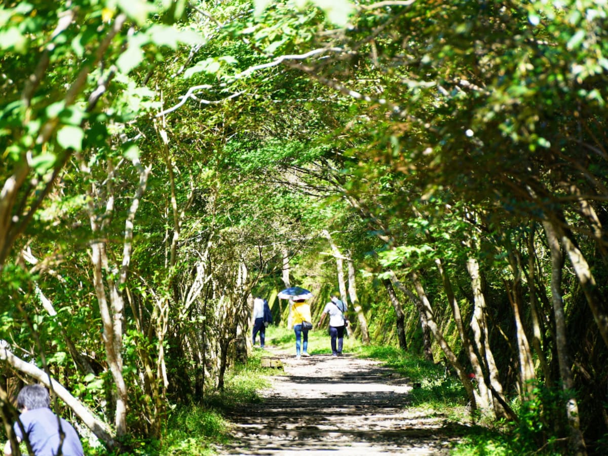 宝塚・武田尾温泉