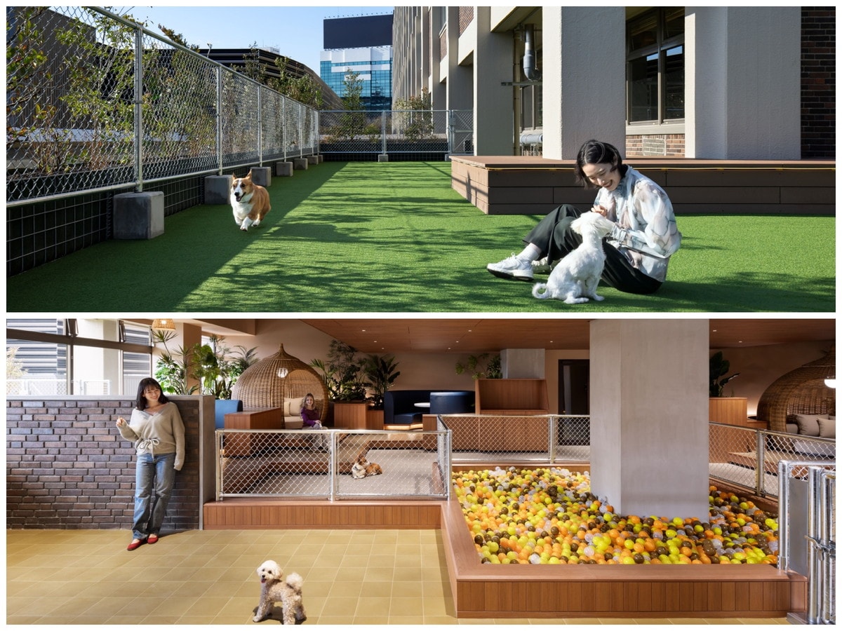 「OMOドッグガーデン」を完備（提供画像）