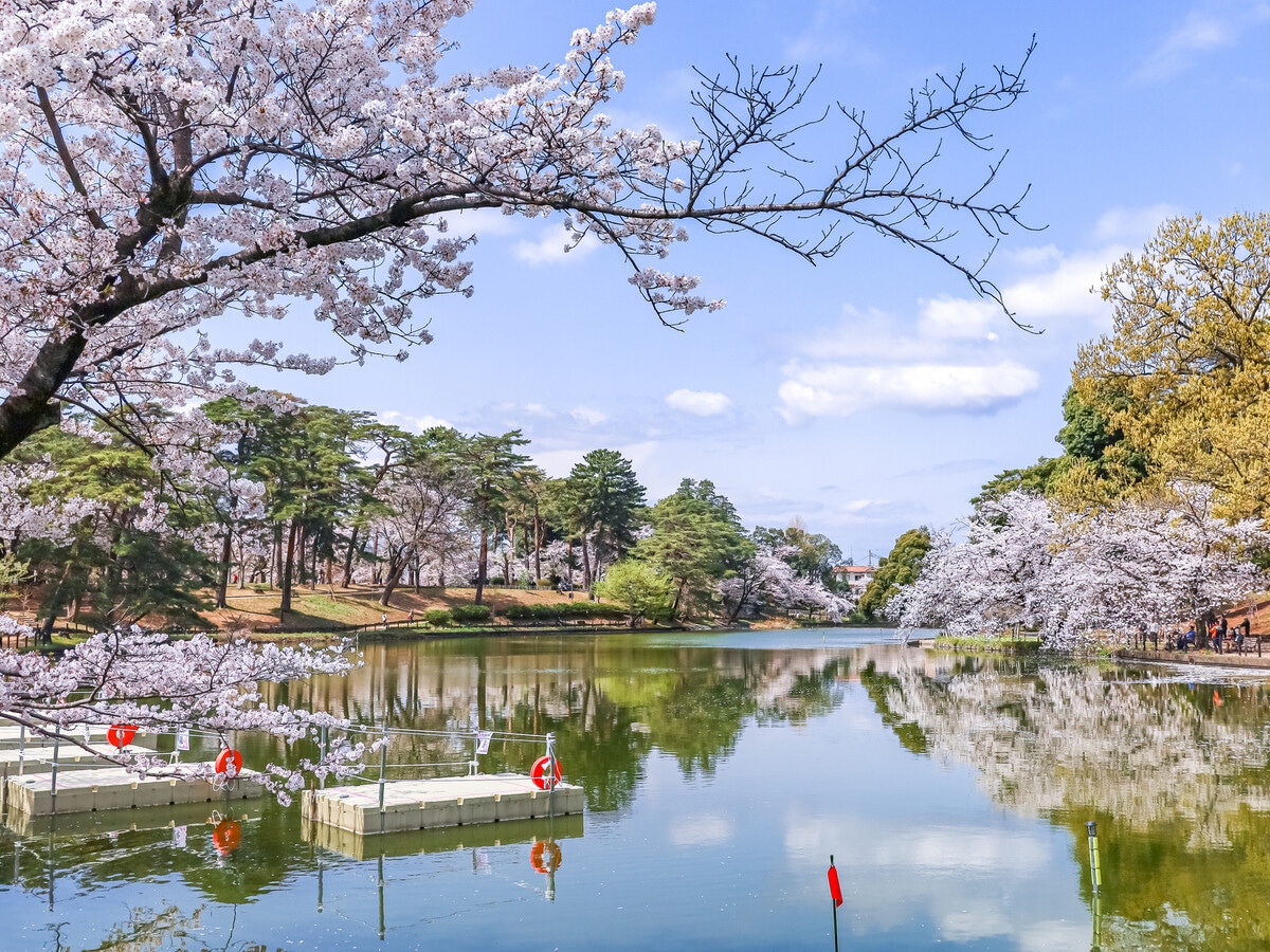 大宮公園
