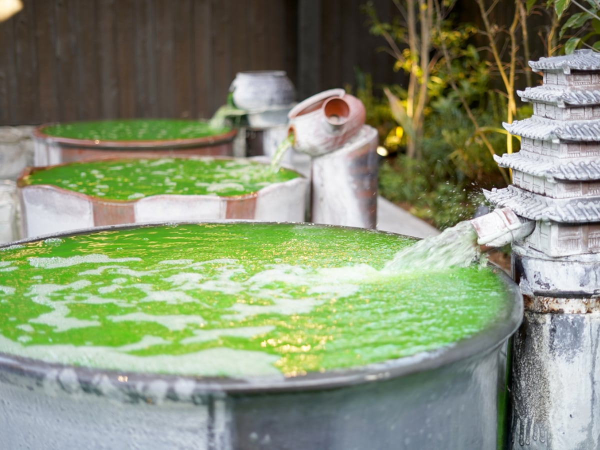 「西尾温泉 茶の湯」公式Webサイトより