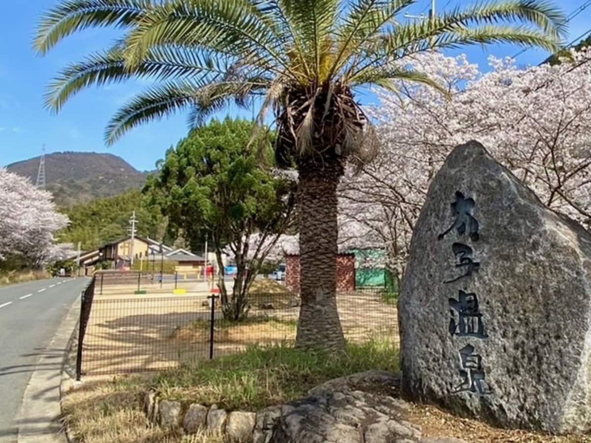 「太子温泉」公式Webサイトより