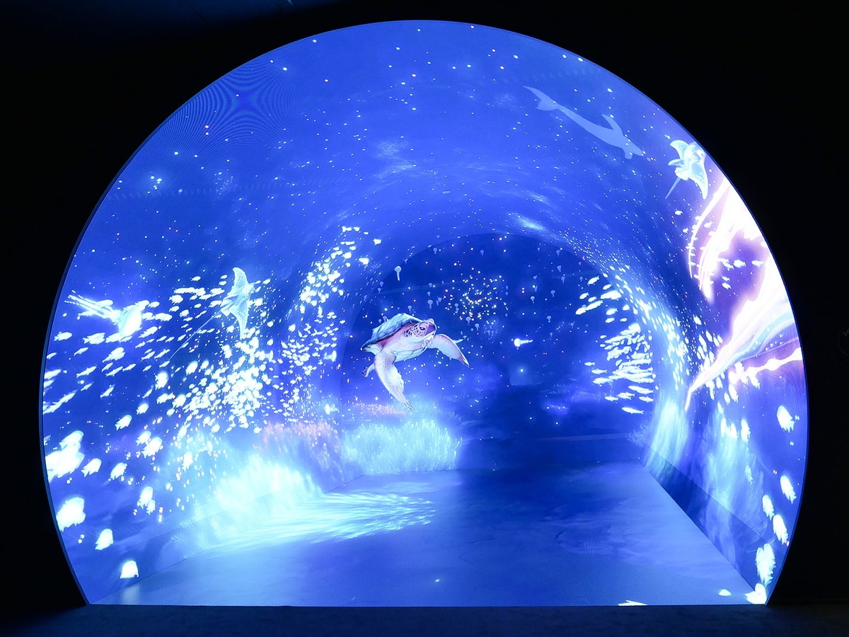 「深海」をテーマとした「ゾーン2：ダイブ・トゥ・ブルー」（筆者撮影）