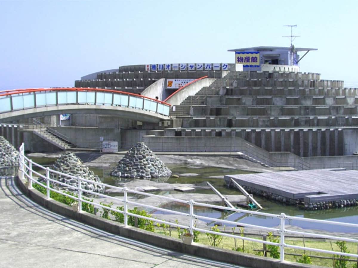 「道の駅 鴨川オーシャンパーク」公式Webサイトより
