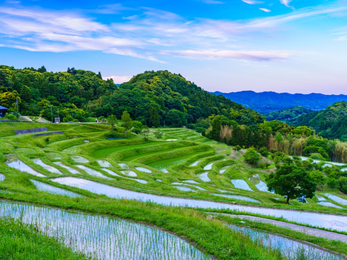 大山千枚田