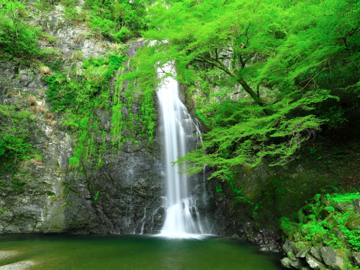 箕面大滝