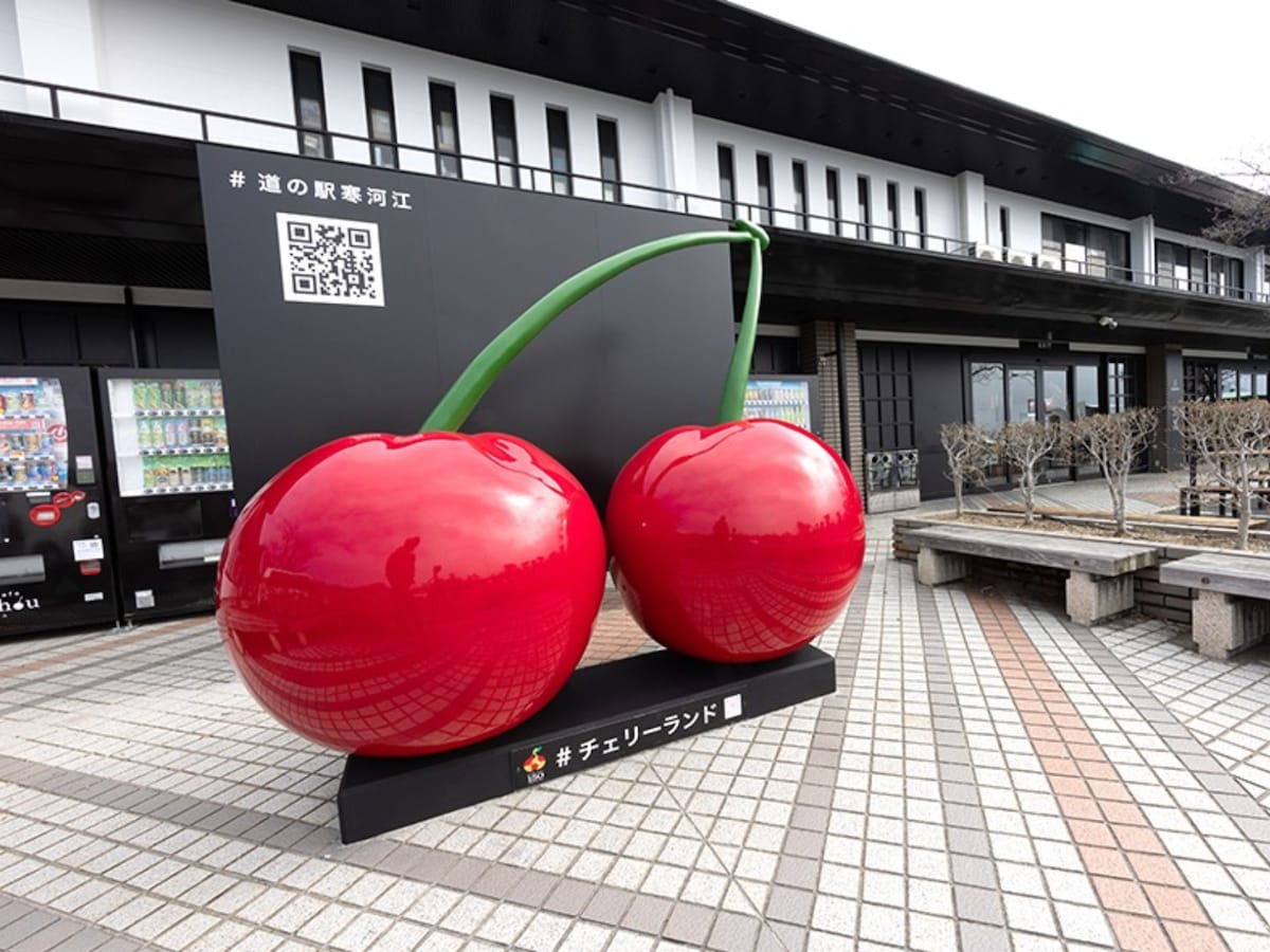 「チェリーランドさがえ」公式Webサイトより